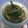 Cooksnap dari novita sari untuk resep Tumis Caisim Bakso