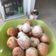 Cooksnap dari tsujana untuk resep Donat Pemula anti gagal.. empuk ginuk2