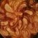 El cooksnap de Marc Sala Ogou cuando hizo Tarta de manzana.