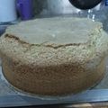 El cooksnap de Vale cuando hizo Bizcochuelo Fácil.