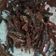 Cooksnap dari Febriani Nurmalasari untuk resep Kentang Kering Teri Balado