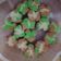 Cooksnap dari Irma Rahmawati untuk resep Bolu kukus mekar anti gagal.tanpa seprit