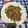 白 的 豆瓣肉絲豆干 cooksnap