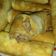 Cooksnap dari Vivin Andrylia untuk resep Sosis Solo Kukus