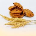 Cooksnap dari Ragesara untuk resep Chocochips Cookie super renyah