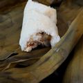 Cooksnap dari Dian Eka untuk resep Arem arem (Lontong Isi Sayuran Ayam)