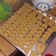 Cooksnap dari Jasmine Adam untuk resep Coconut cookies