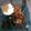 Cecilia Muasa's cooksnap of when they made Ugali, Managu(African nightshade) and beef.