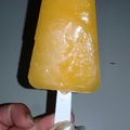 El cooksnap de Daay Rodriguez cuando hizo Helado de frutilla y naranja natural para celíacos, diabéticos y regímenes.