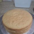 Rashida Minhaj's cooksnap of when they made Vanilla sponge cake.