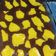 Cooksnap dari Mariana Anas Beddu untuk resep Puding vla hercules
