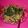 Cooksnap dari Erna KeisHa Alvaroo untuk resep #17 Urap Kangkung Toge
