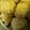 El cooksnap de Andrea cuando hizo Scones de queso y panceta.