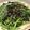 Cooksnap dari Michelle Angelia untuk resep Tumis Bayam ala Korea (시금치 나물 / 시금치 무침)