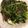 張書維 的 皮蛋地瓜葉（炒地皮） cooksnap