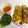 Cooksnap của Thanh Thủy khi họ làm theo món Bánh xèo bà Út!