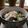 Cooksnap dari Amini untuk resep Gyudon Beef Bowl