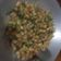 Cooksnap dari Lizly Frauline untuk resep Tumis Tempe Tahu Pete Cabe Ijo