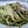 El cooksnap de Alba Gabarrón Marín cuando hizo Tallarines al pesto.