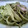 El cooksnap de Alba Gabarrón Marín cuando hizo Tallarines al pesto.