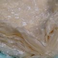 Cooksnap dari Yuni Zidane untuk resep Kulit Lumpia
