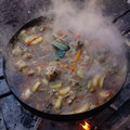 El cooksnap de martin cuando hizo Pollo y vegetales al disco de arado.