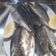 El cooksnap de Miguel Pena Roma cuando hizo Sardinas en salazón marinadas.