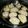 Vrinda Idnani's cooksnap of when they made Veg momos.