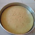 Cooksnap dari Nevertivina untuk resep Bolu Pandan 5 Telur kecil (4 butir telur besar)