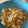 El cooksnap de mambanegra cuando hizo Calabaza especial con arroz.
