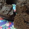El cooksnap de Lorena cuando hizo Torta rápida de chocolate.