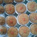 Cooksnap dari Selly Agustina untuk resep Nugget Tempe