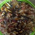 Cooksnap dari Khadijah Ummu Keyla untuk resep Beef blackpaper ala yoshinoya 95% miripp. Tp in lbih enak