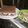Cooksnap dari Niken Pratiwi untuk resep Puding Oreo Milo