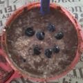 El cooksnap de belengiorello cuando hizo Postrecito bajo en calorías de cacao con coco.