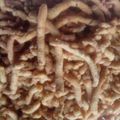 Meena Mathur का कुकस्नैप जब उन्होंने बेसन के नमकीन सेव (besan ke namkeen sev recipe in Hindi) बनाया था।