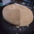 El cooksnap de Inchi cuando hizo Harina Pan casero integral fácil.