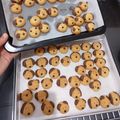 Cooksnap dari Charming baby Novent untuk resep Cookies Dog Eggless