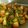 Keya Mandal's cooksnap of when they made আলুর দম(aloor dum recipe in Bengali).