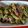 Cooksnap dari meeels and cook untuk resep Tongkol cabe ijo