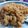 Anam Azhar's cooksnap of when they made Chicken Macaroni.