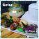 Cooksnap dari Diana R. Setiawan Al Fawwaz Catering untuk resep Getas/Gemblung