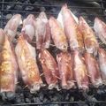 Cooksnap của LAM THANH khi họ làm theo món Mực nướng sa tế
