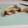 El cooksnap de Natalia Marco Nohales cuando hizo Cookies con chocolate MC.
