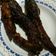 Cooksnap dari Deasy Suryandari untuk resep Lele Bakar