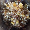 Pinal Patel's cooksnap of when they made સાબુદાણા બટેકા ની ખીચડી (Sabudana Bataka Khichdi Reicpe In Gujarati).