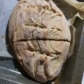 Cooksnap από Ραφαέλα Τόκα στη συνταγή Ψωμί χωρίς μαγιά