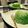 Phuong Lan Doan's cooksnap of when they made Bánh Phú Sỹ (Bông Lan Lá Dứa).