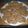El cooksnap de gurubilo cuando hizo Cookies.