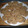 El cooksnap de gurubilo cuando hizo Cookies.